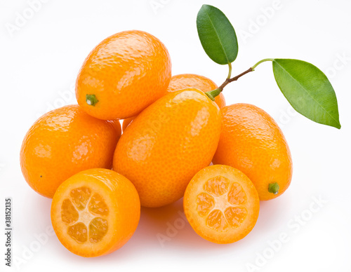 Photo: Kumquat citrus Kumquat citrus