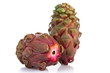 Dragon fruit