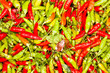 Green and red chili.