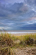 Grassy sand dunes during sunset