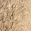 Traces de pas
