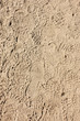 Traces de pas