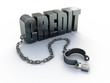 Credit and shackle