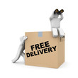 Delivery team