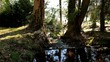 Naturpark II / Full Hd Video Naturpark II / Full Hd Video