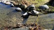 Klares Wasser / Video Full Hd Klares Wasser / Video Full Hd