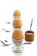 eier
