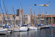 Port of Marseille, or Marseilles, with a seagull in flight
