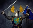 Medieval knight on grey background.