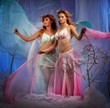 Elfs in magical winter forest. Elfs in magical winter forest.
