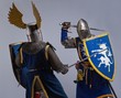 Two medieval knights fighting.