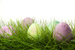 Photo: Easter eggs in the grass Easter eggs in the grass