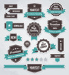 Vector set of retro labels, buttons and icons.