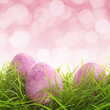 Eggs on the grass