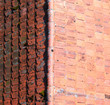 Detail of roof Detail of roof