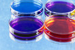four petri dishes four petri dishes