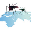 Vector: Two mosquitos sucking out natural resources on the world`s map Two mosquitos sucking out natural resources on the world`s map