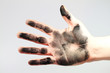 Schwarze Hand