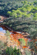 PAISAJES, VERTICALES. LAS MINAS DE RIOTINTO PAISAJES, VERTICALES. LAS MINAS DE RIOTINTO