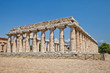 Paestum temple - Italy