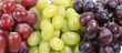 Grapes banner