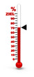 Das 100% Thermometer