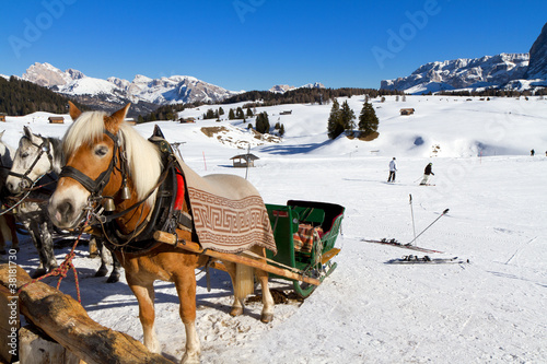 Foto: Pferdeschlitten auf der Seisser Alm, Südtirol, Italien Pferdeschlitten auf der Seisser Alm, Südtirol, Italien