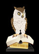 owl on books owl on books