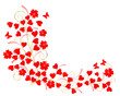 Valentine floral background.