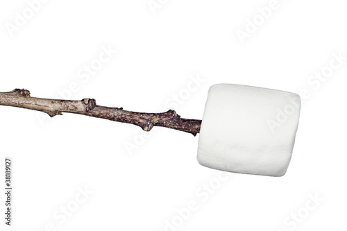 Photo: Marshmallow on a stick Marshmallow on a stick