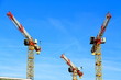 3 grues