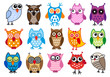 colorful vector owls