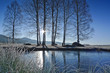 iced over pond and trees