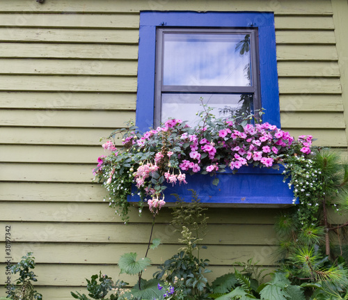 Photo: Window box with flowers Window box with flowers