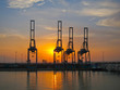 Foto: Cranes on Suez Canal at sunset Cranes on Suez Canal at sunset