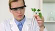 Video: Female biochemist analyzing plants and writing results Female biochemist analyzing plants and writing results