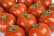 Fresh tomatoes
