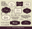 Vector set of calligraphic design elements