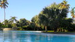 Pool with Palm Trees Pool with Palm Trees