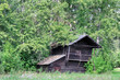 Shabby house