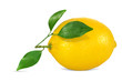 Obst 549