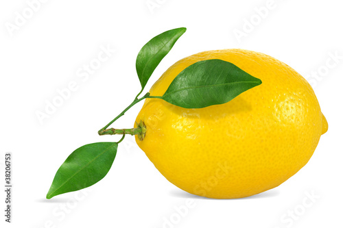 Photo: Obst 549 Obst 549