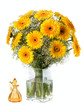 Photo: gerbera gerbera