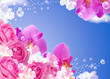 Roses and orchid
