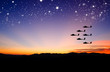 silhouettes plane fly with sunset and star silhouettes plane fly with sunset and star