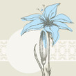 Pastel floral background, white lace frame for text