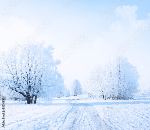 Photo: Road Road
