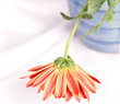 Flower Vase