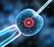 Zelle in Vitro 2
