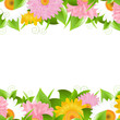 Flower And Leaves Border